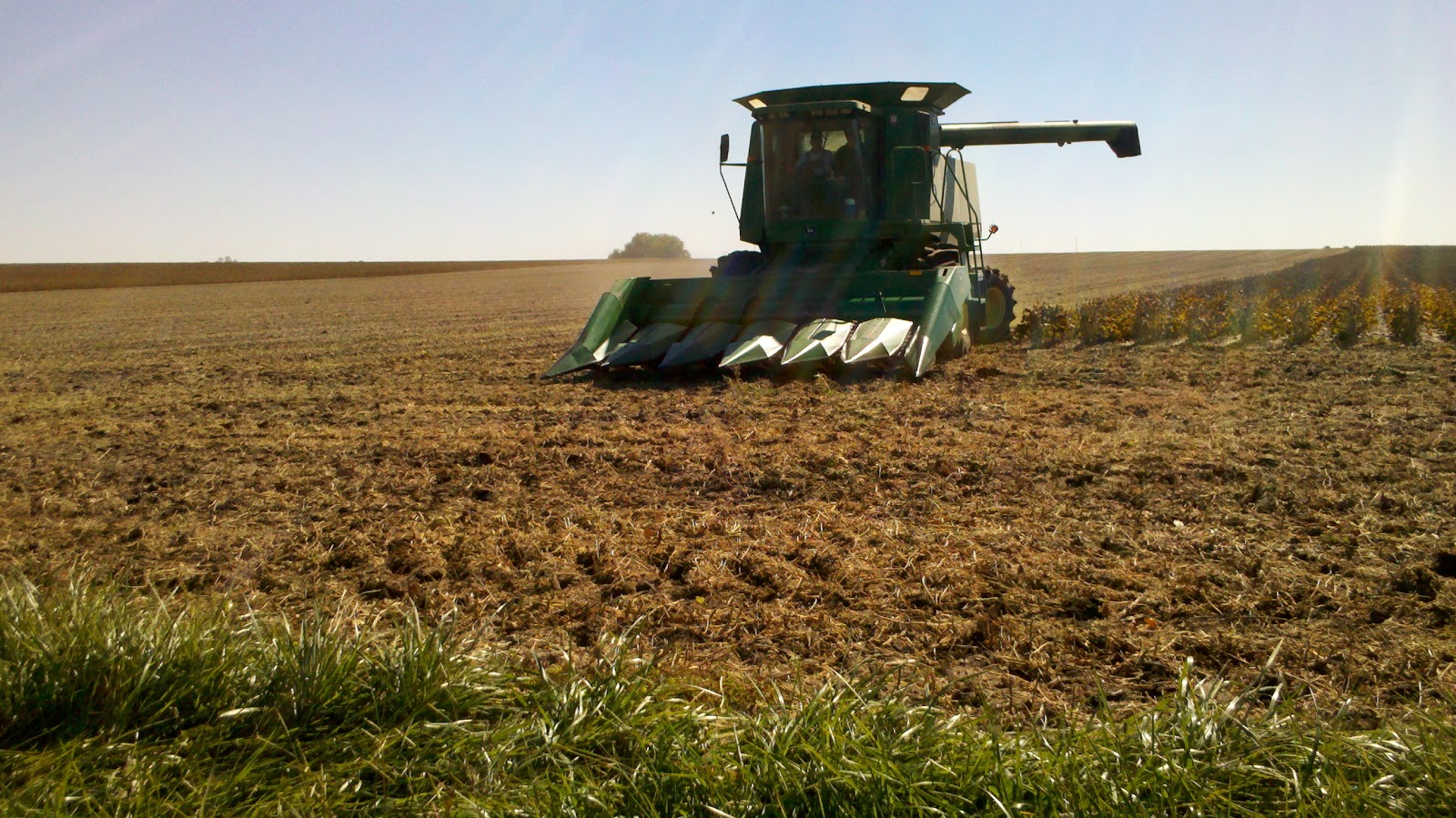 Observations in Agriculture Soybean Head