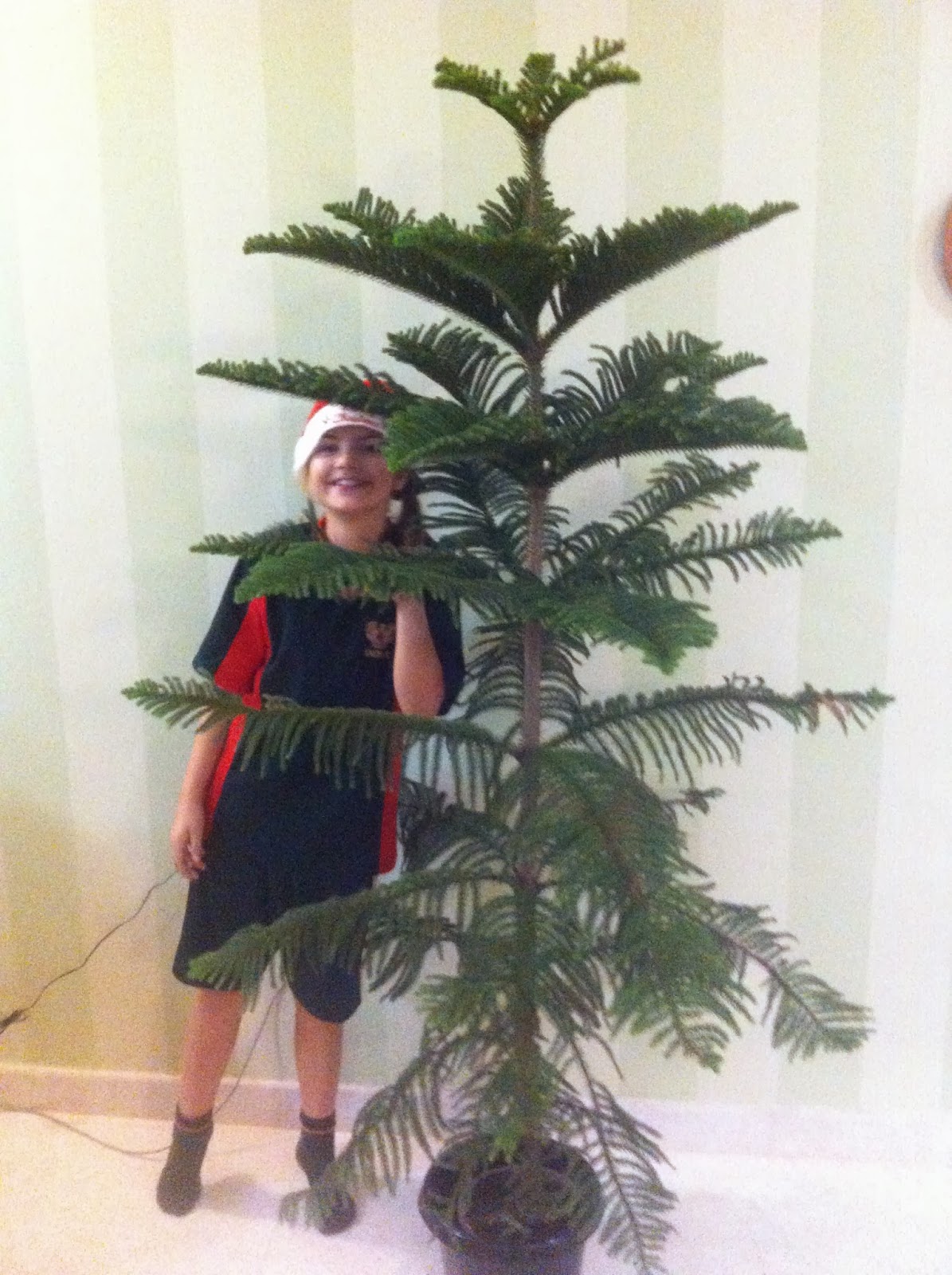 Famille Guisgand A Bangalore Inde Sapin De Noel