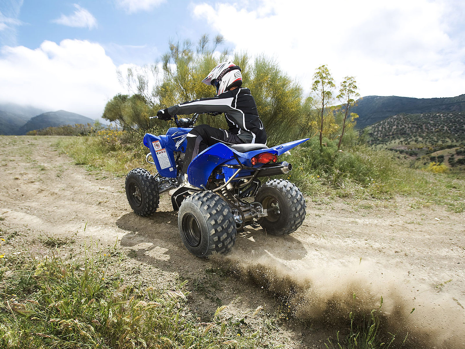 2009 YAMAHA Raptor 350 ATV pictures, review and specifications