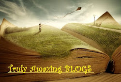 PREMIO TRULY AMAZING BLOGS