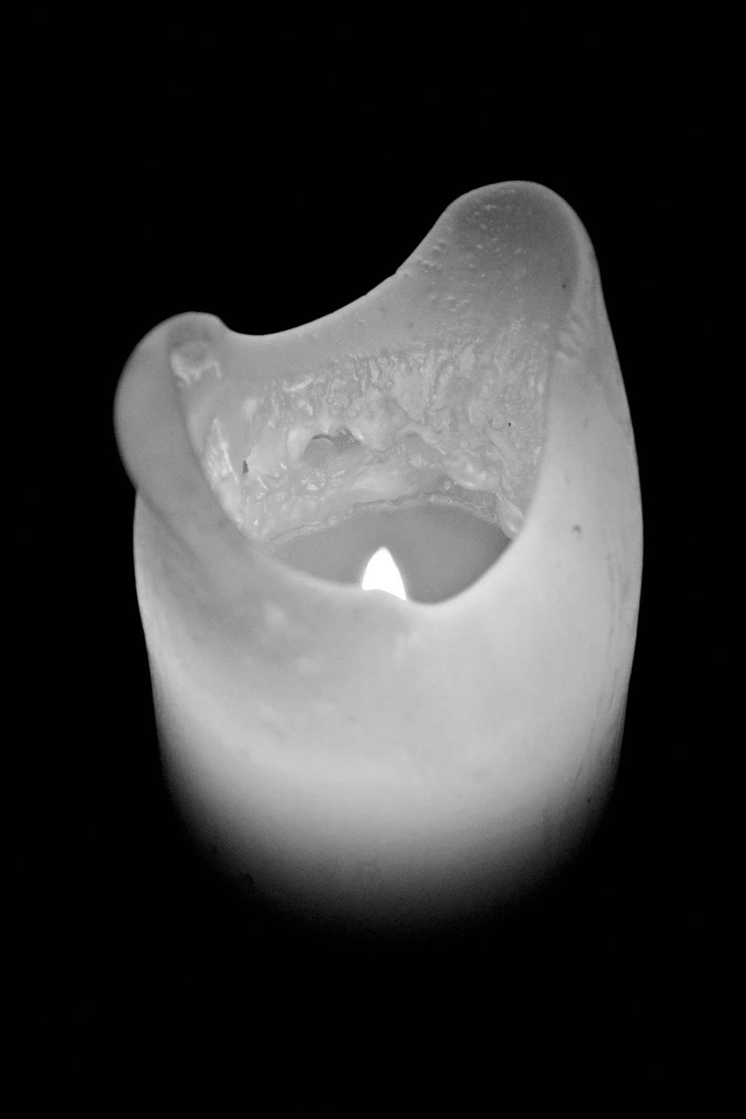 Danielle Renée Photography • Fine Art Photographer & Photojournalist