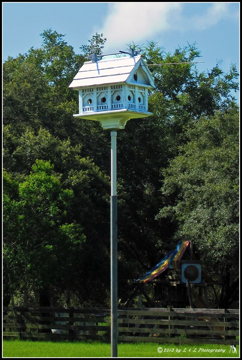Ocala, Central Florida & Beyond Birdhouse for the elite