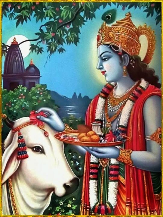 Cute Kanha Ji: Lord Krishna With Gau Mata Beautiful Picture