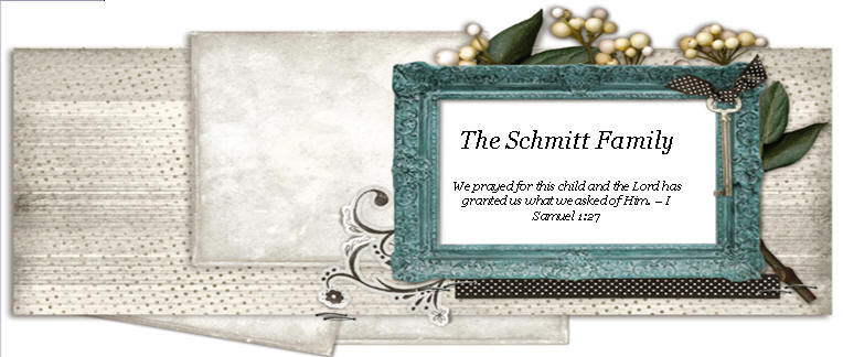 The Schmitt Family