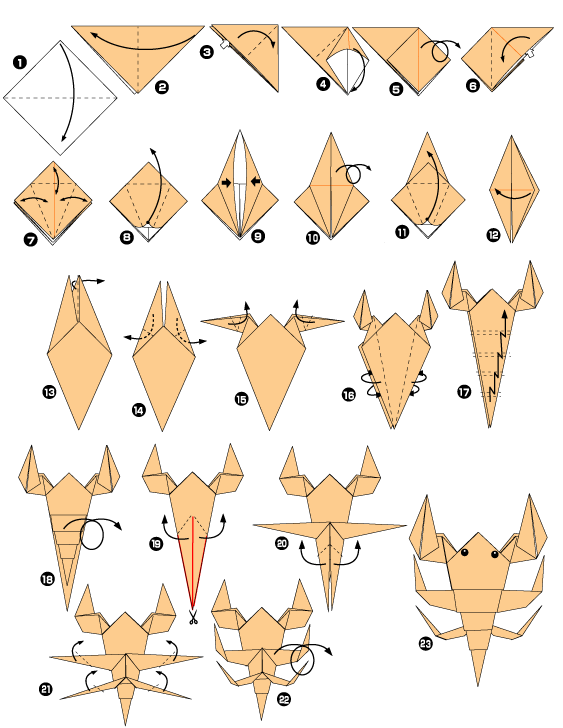 scorpion origami instructions easy origami instructions for kids crafts