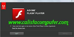 Update Flash Player 11.8