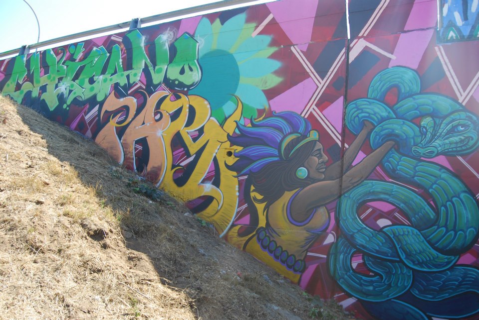 Tetra And The Flavorful Weekend Off The Chill Chill Mega Chill