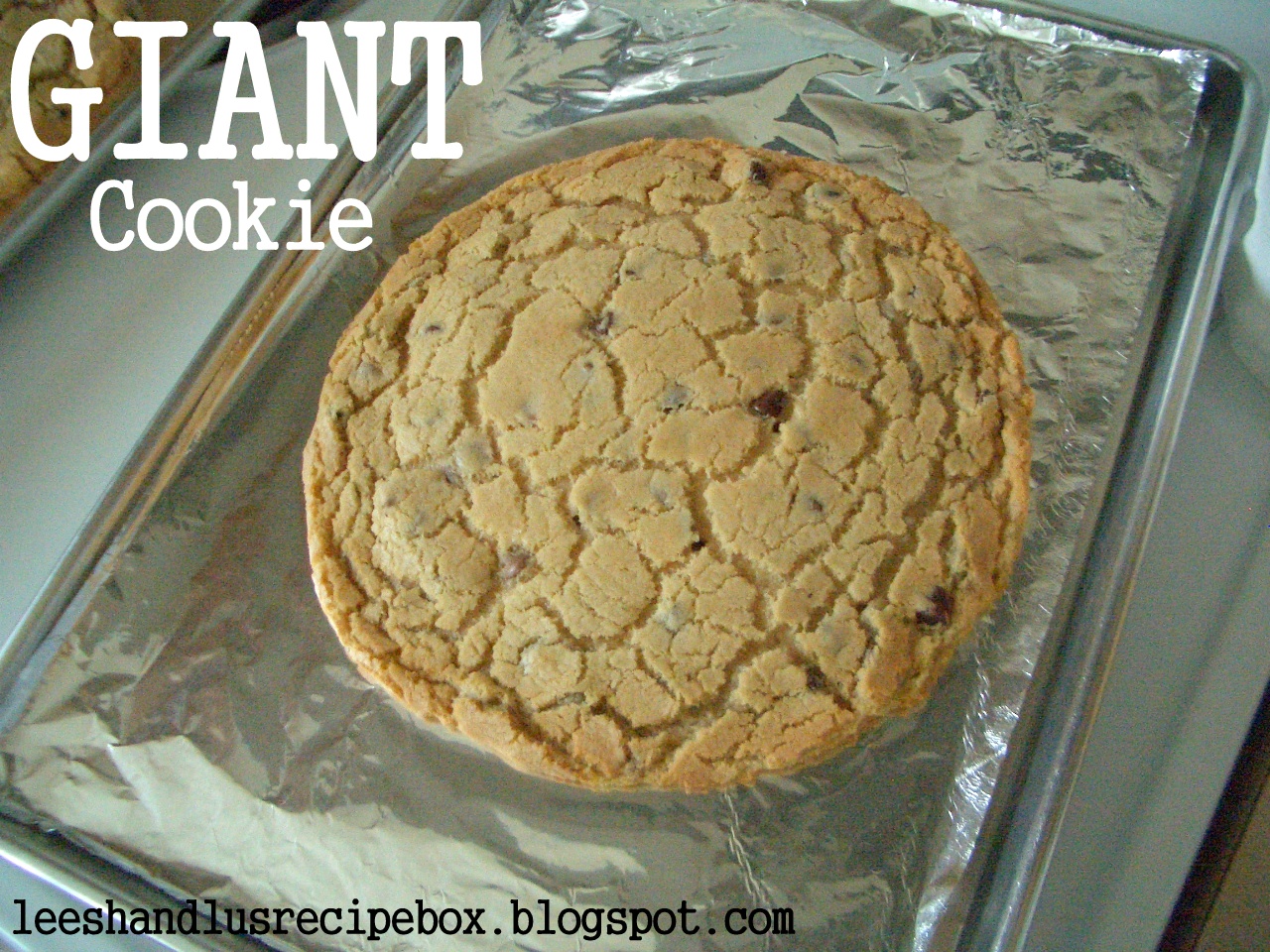 Leesh & Lu's Recipe Box: Giant Cookie