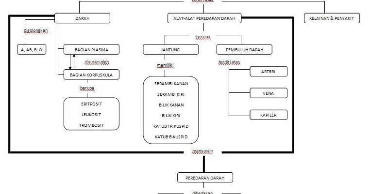 Sistem Peredaran Darah Manusia Kompetensi
