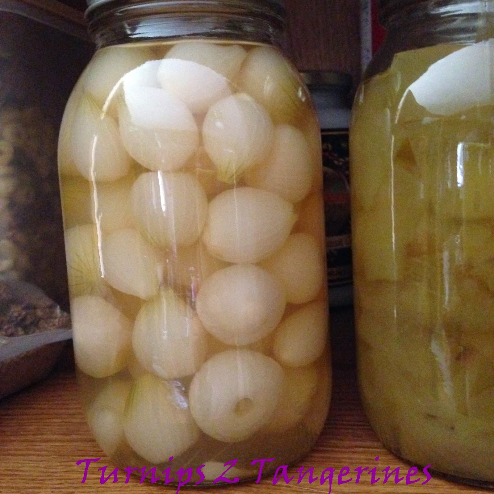 Turnips 2 Tangerines Pickled Pearl Onions
