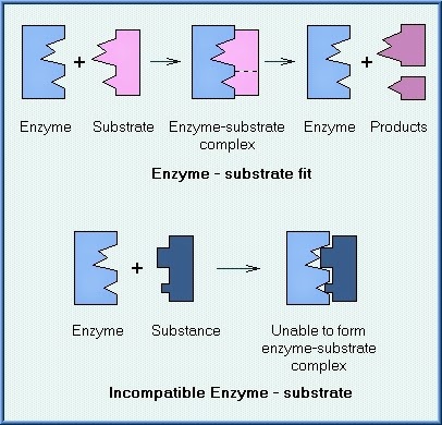 an introduction