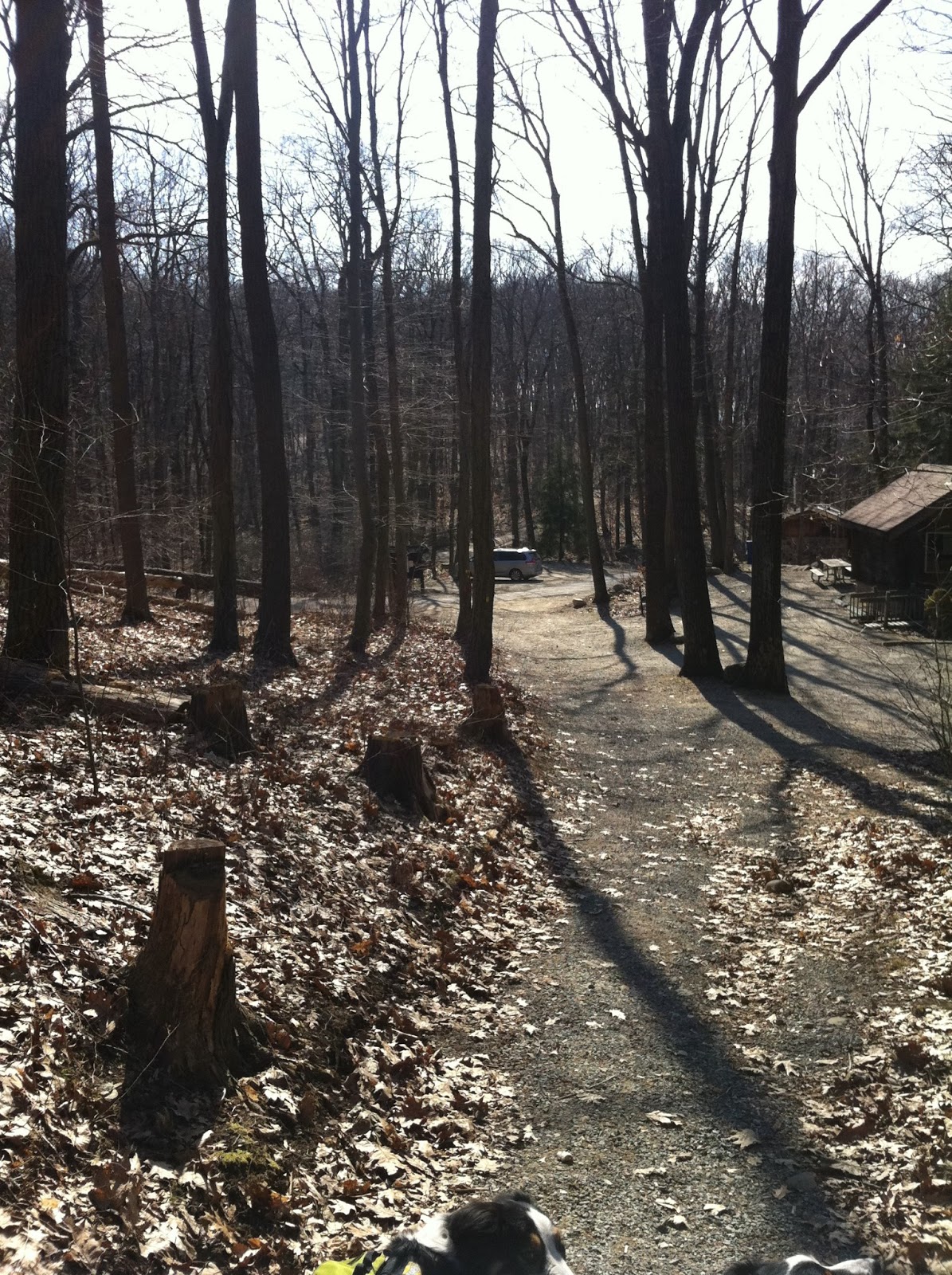 Agile Trekker Jenny Jump Mountain, Jenny Jump State Forest, Hope, NJ