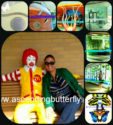 Ann & Robert H. Lurie Children's Hospital of Chicago walk through Photos, Lurie Hospital, Hyde Park House, Ronald McDonald, Butterfly Fractal