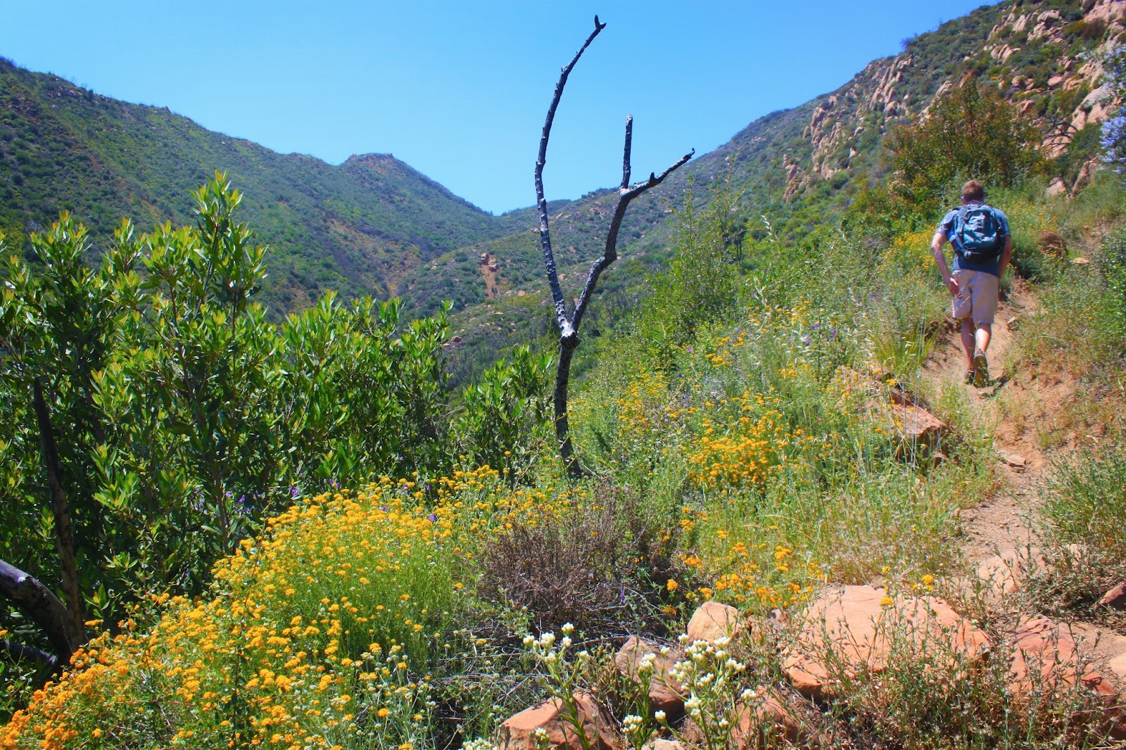 KenKen Photoblog Santa Barbara Hiking Trails Rattlesnake Canyon