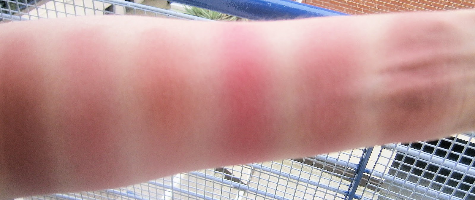 beautiful me plus you My Bobbi Brown Blush collection