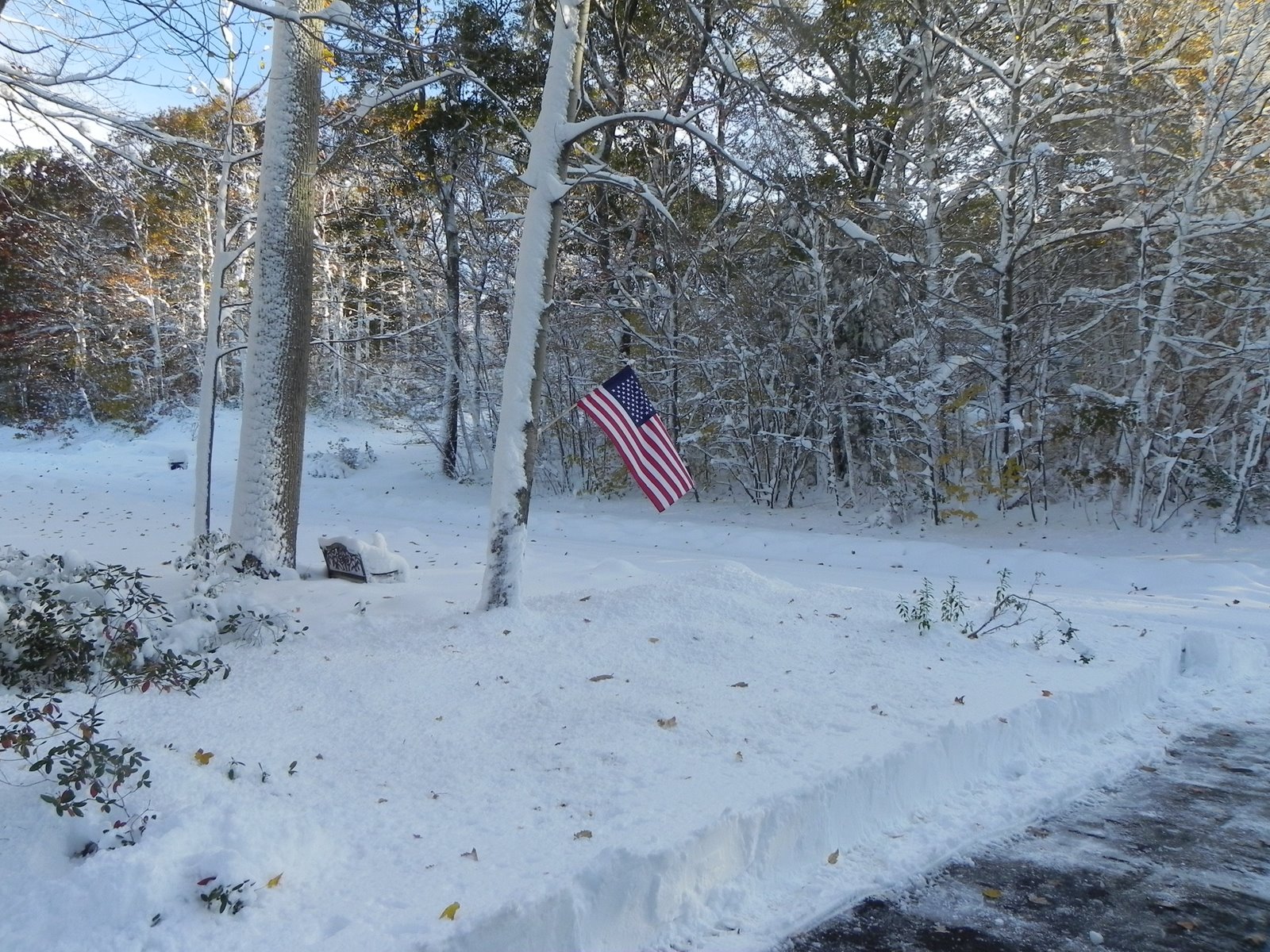Debbie�s Post October 2011 Snow Storm Alfred