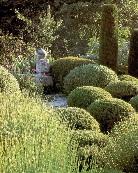 the garden: A Texas Garden