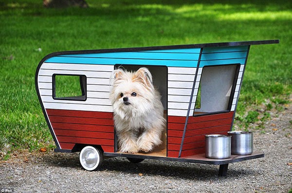 pet camper by straight