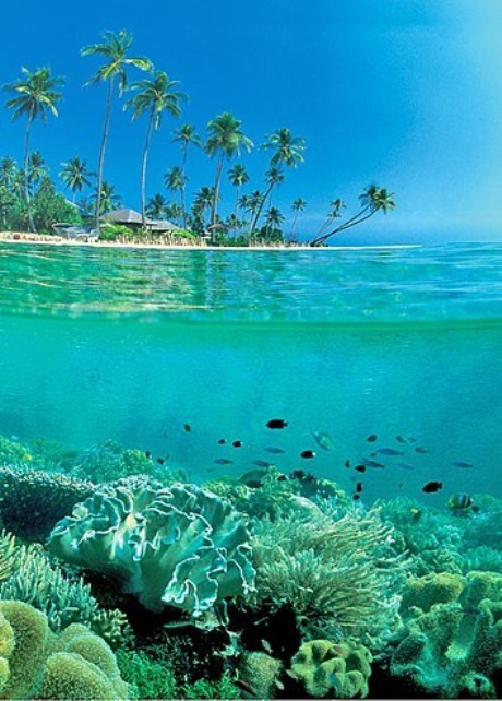 Indonesian crystal clear waters