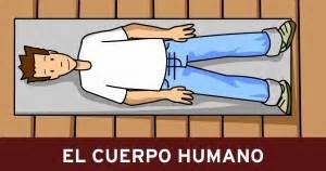 CONOCE TU CUERPO