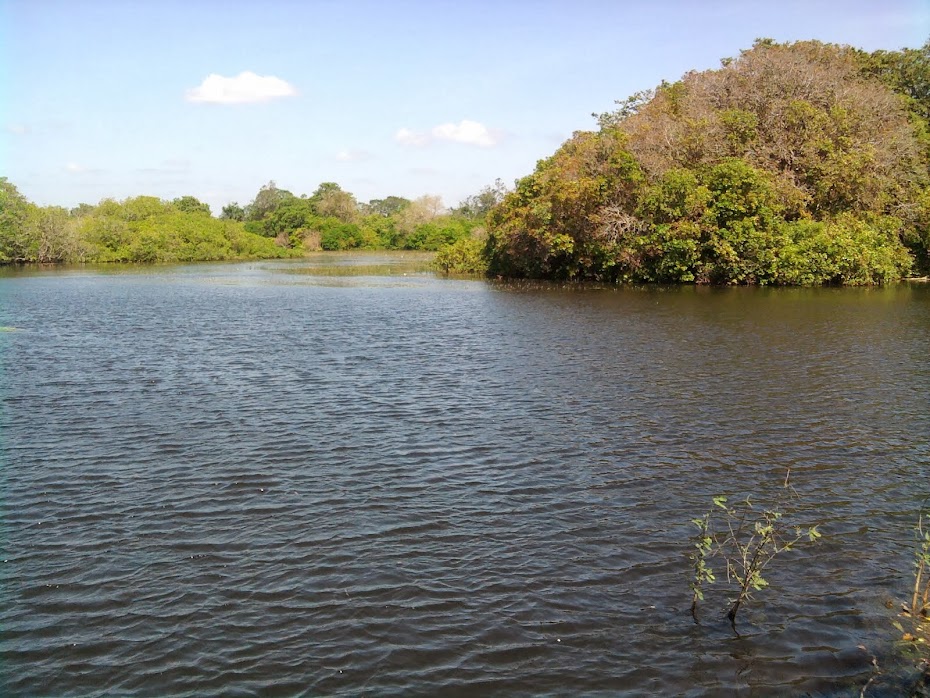 குளம்