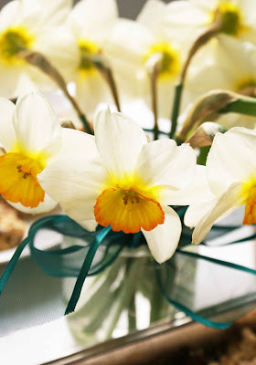 A Potluck! Potluck%2B %2Bdaffodils A Potluck!