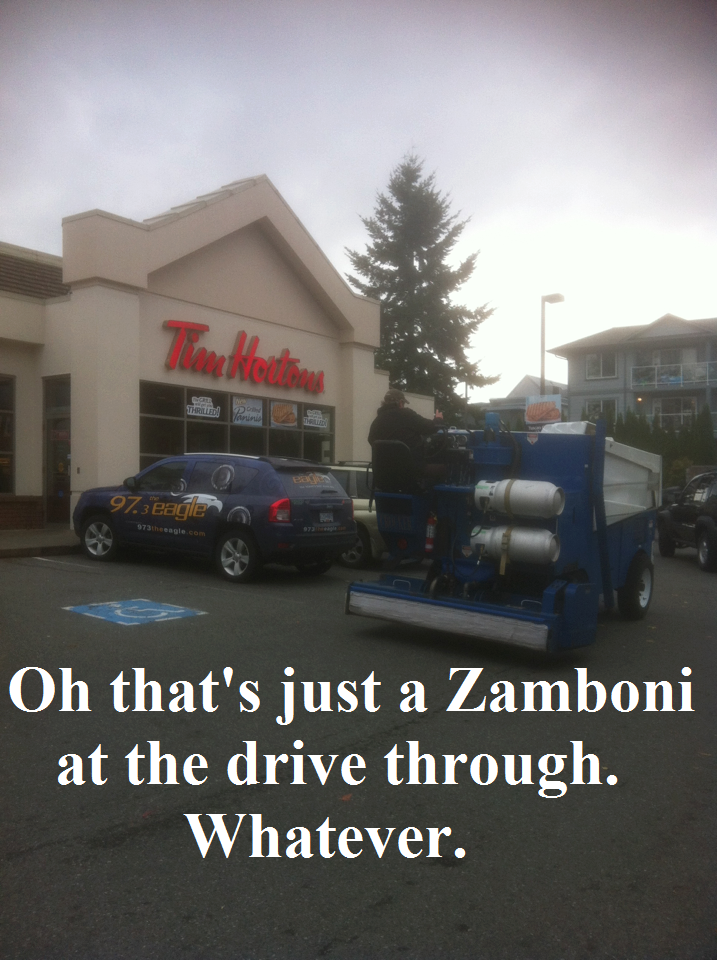 Cute and Funny Pictures and more A Real Canadian Moment Zamboni at a