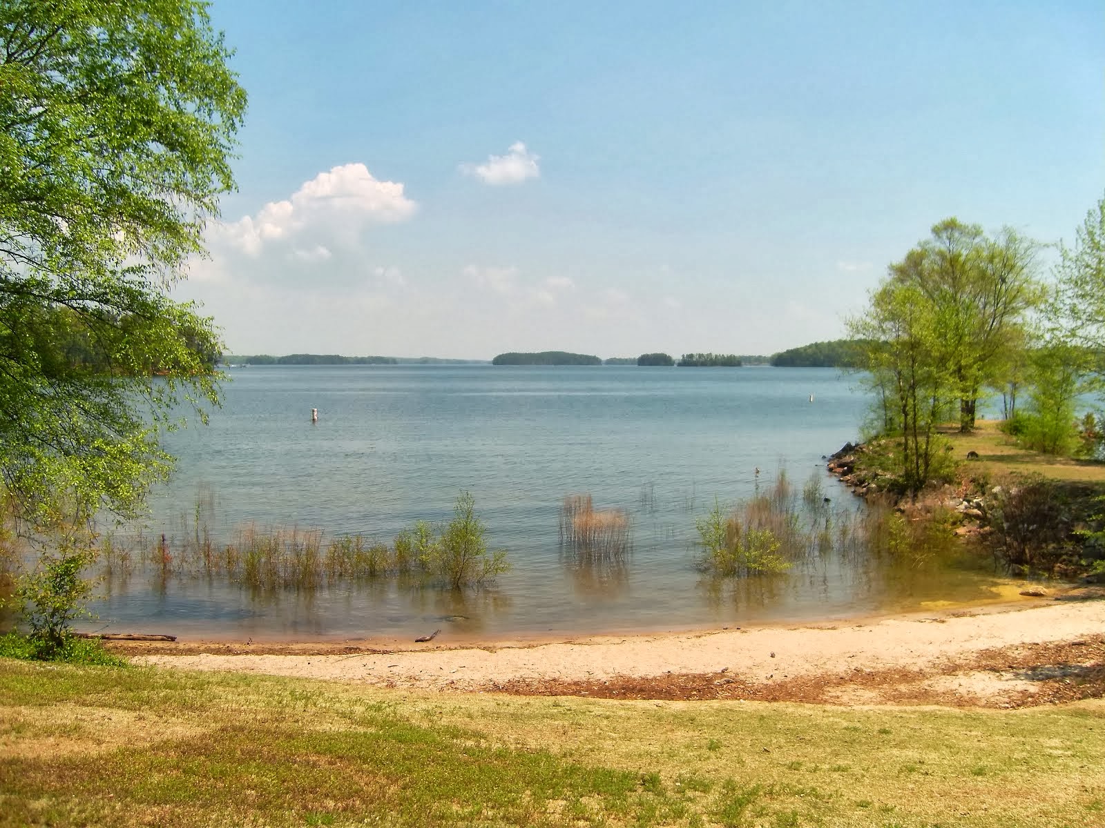 Mask cove Lake Lanier