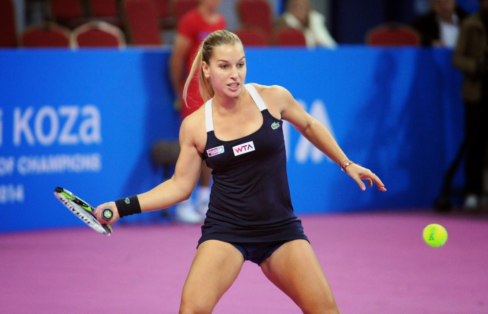 Free Download HD Wallpapers Dominika Cibulkova Slovak Professional