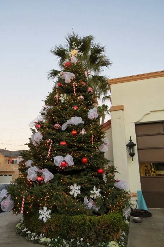 newport beach christmas lights it has grown on me newport beach christmas lights it has grown on me