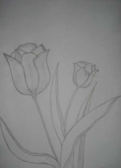 Pencil Drawing:  The Flower