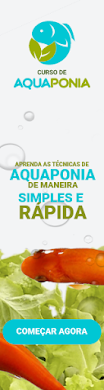 CURSO DE AQUAPONIA!