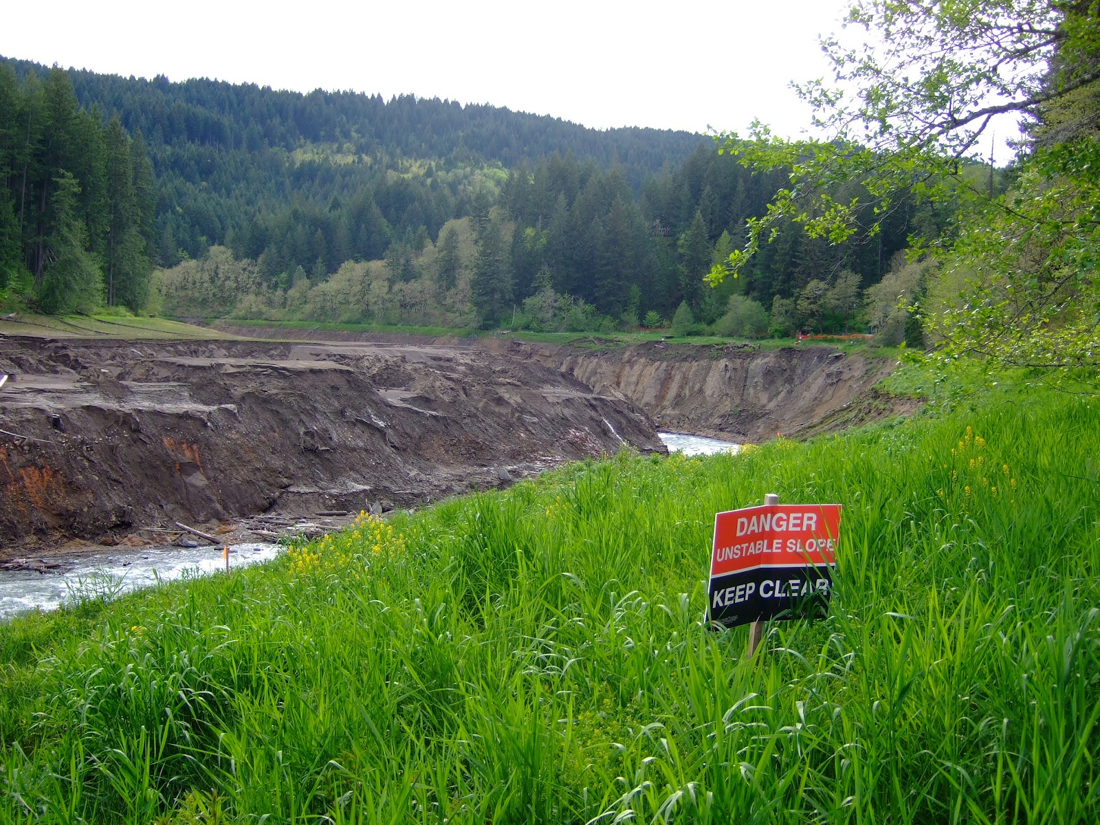 The River Rat The White Salmon A River Reborn