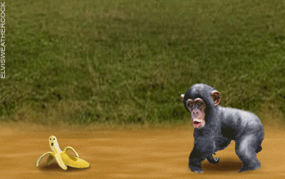1001 Gambar Keren: Gambar Lucu Gif