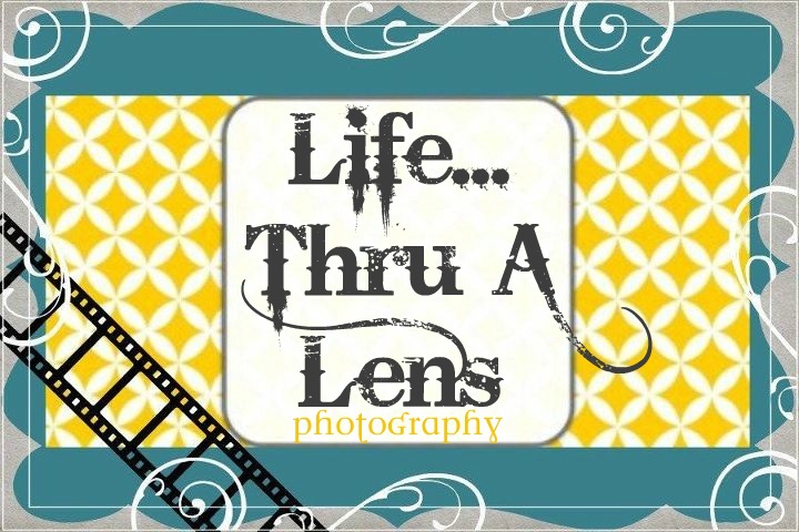 Life Thru A Lens