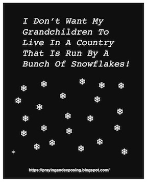 Grandchildren and Snowflakes