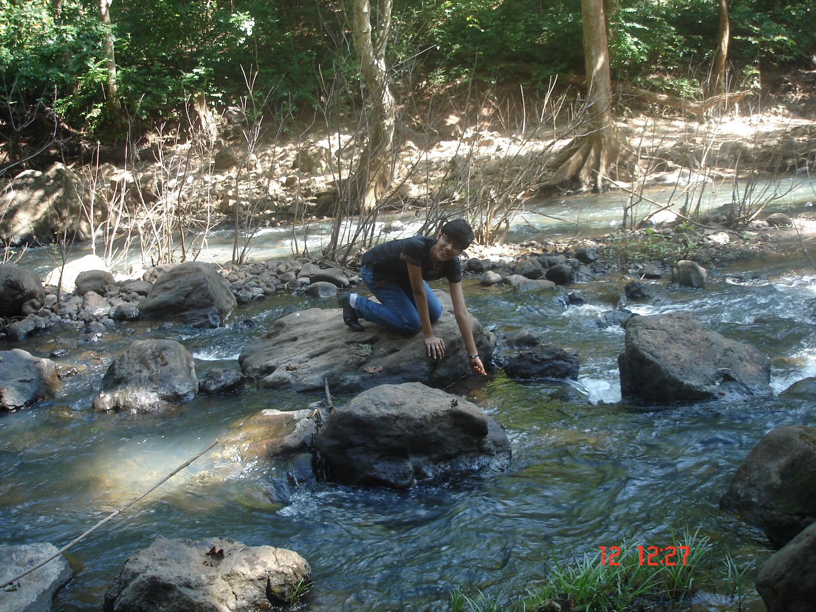 The wayfarer's guide Maredumilli the birds nest of East Godavari