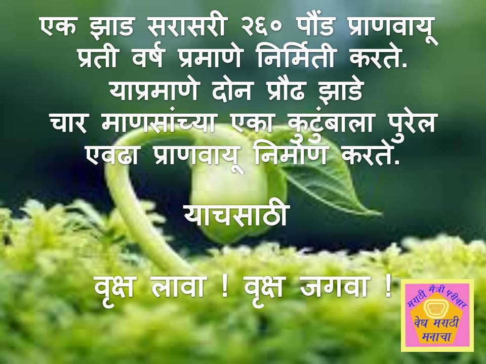 Essay jhade lava jhade jagva 08 picture