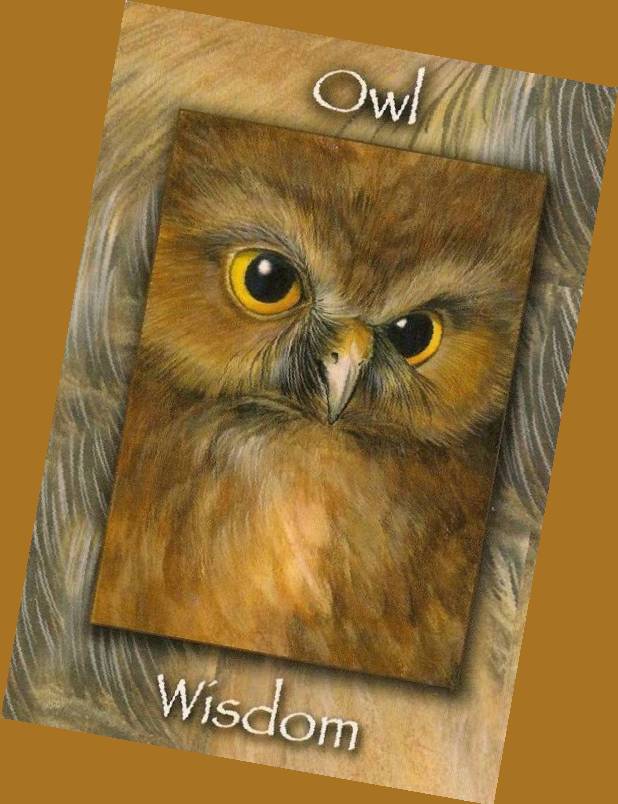 Tarot Notes Of Owls and Orchids Exploring the Nature's Wisdom Oracle Deck