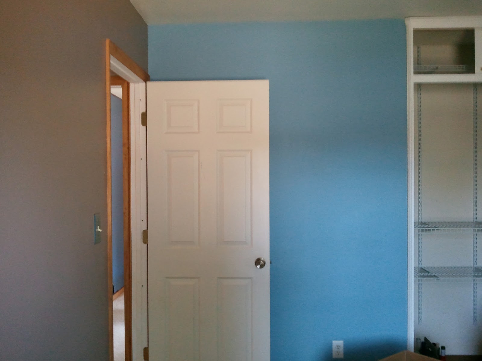 What is Shelly up to now? How to Remove a Wall Border