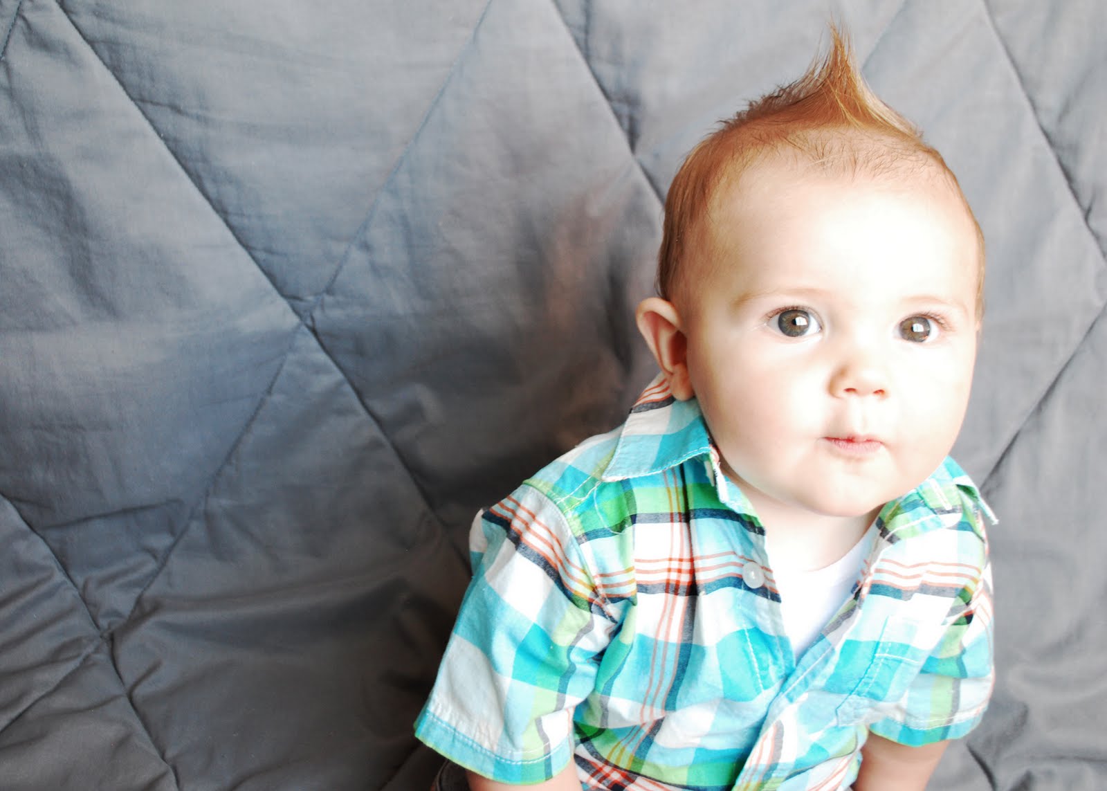 The Stebbins Family Shadoe & Vanessa Our Eight Month Old Big Baby Boy!