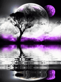 3d gif wallpapers for mobile | full hd Wallpapers
