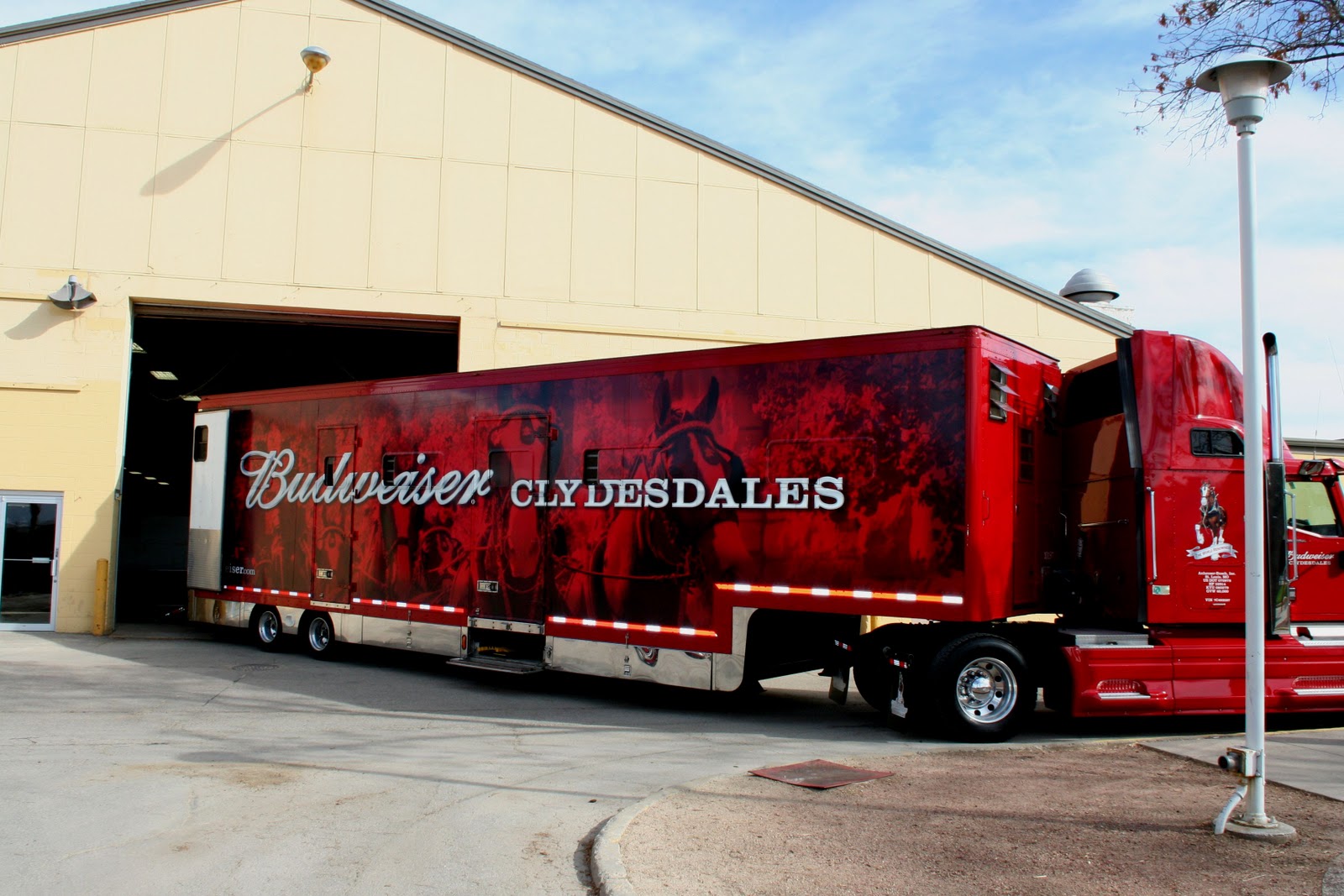World Clydesdale Show The Budweiser Clydesdales arrive in Madison!