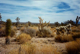 mojave desert landscape mojave desert landscape