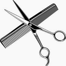 Trimming And Cutting Natural Hair Nature S Locks