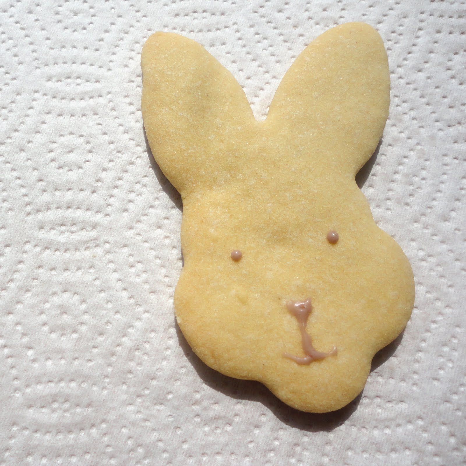 last day of may SAFE BUNNY BISCUIT