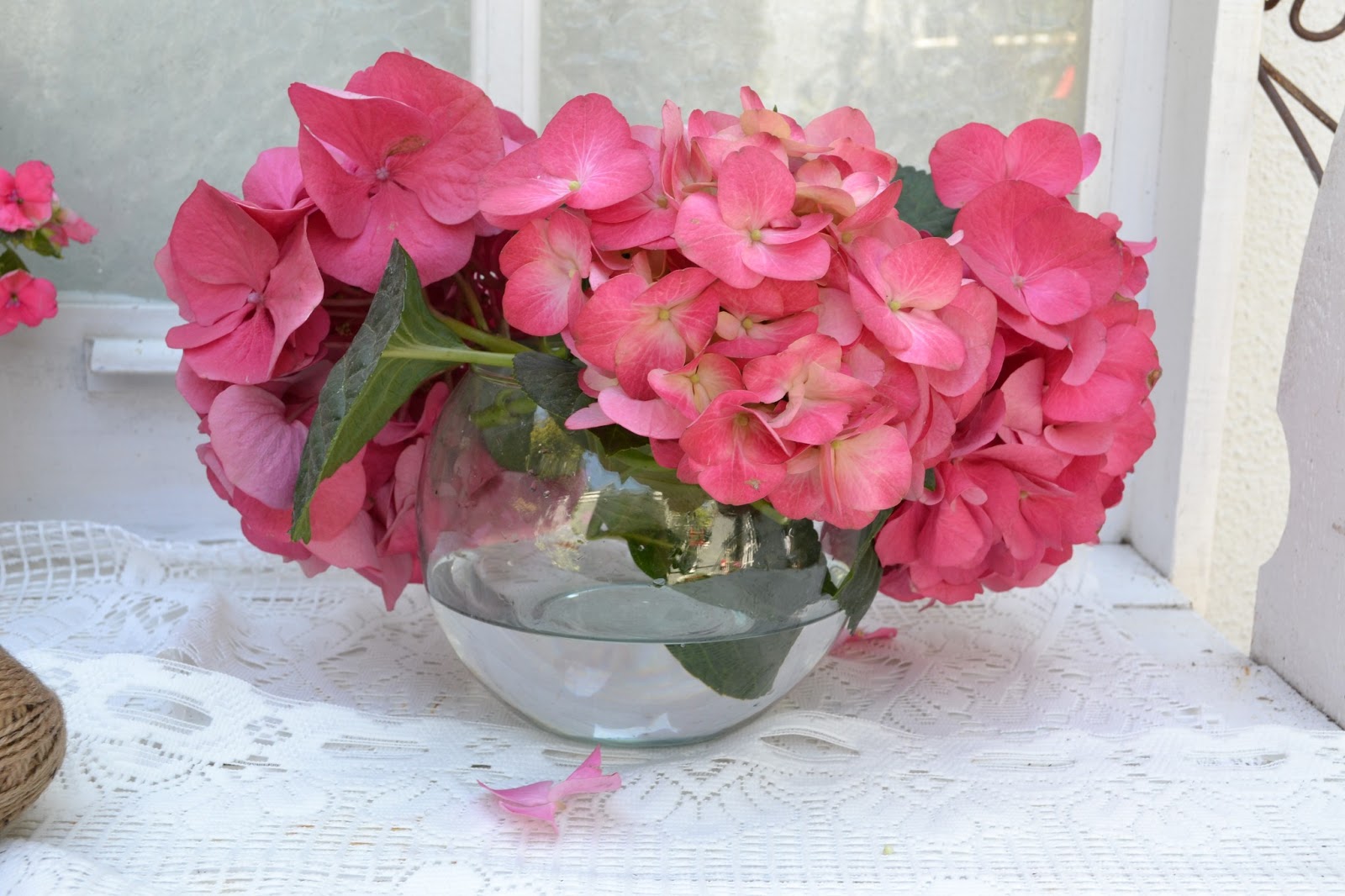 Amazon Com Creative Displays White Hydrangeas In A Glass Vase