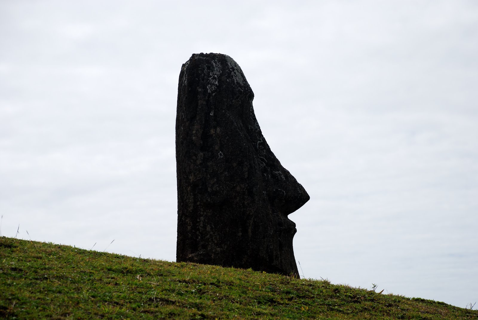 Nuestro viejo moai...