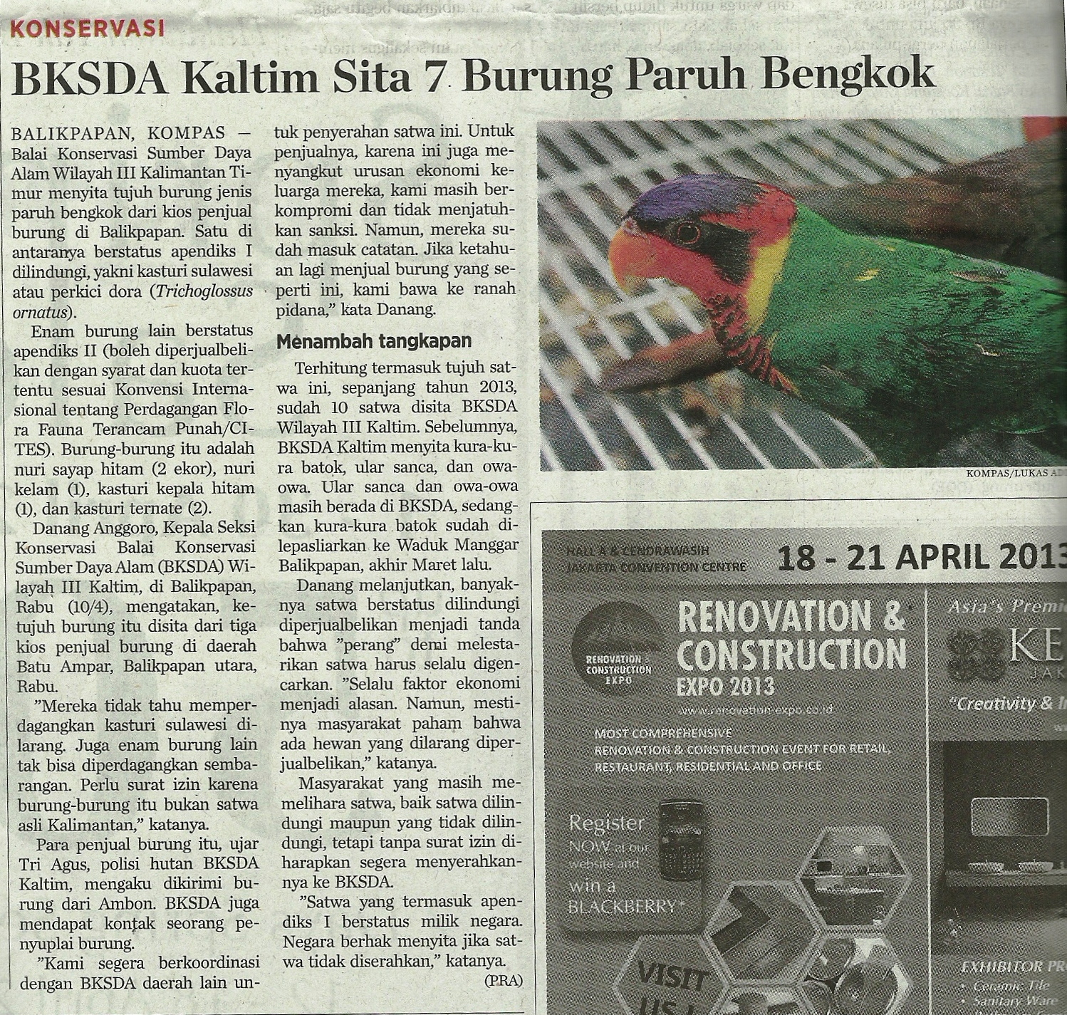 perpustakaan fakultas kehutanan ugm konservasi bksda kaltim sita 7 burung paruh bengok