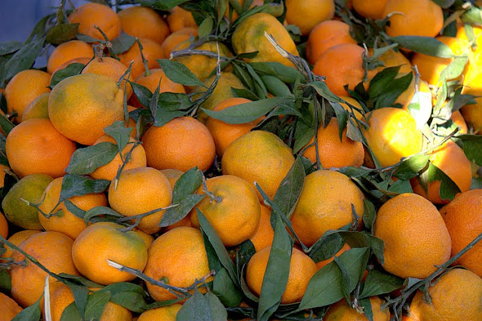 Satsuma mandarins...the perfect winter snack, gift, everything!